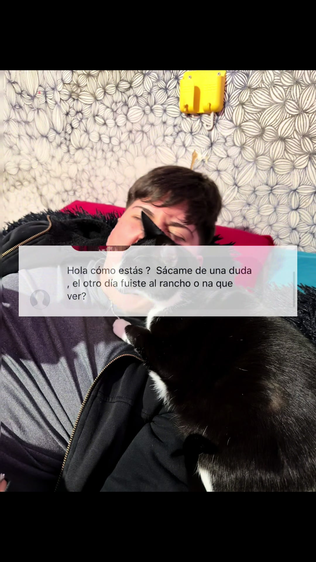 @Feñita😾