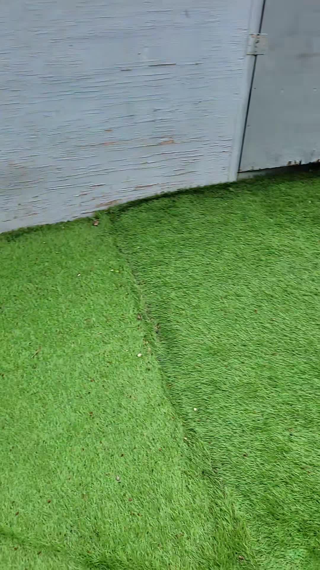 @Magicdogland.com