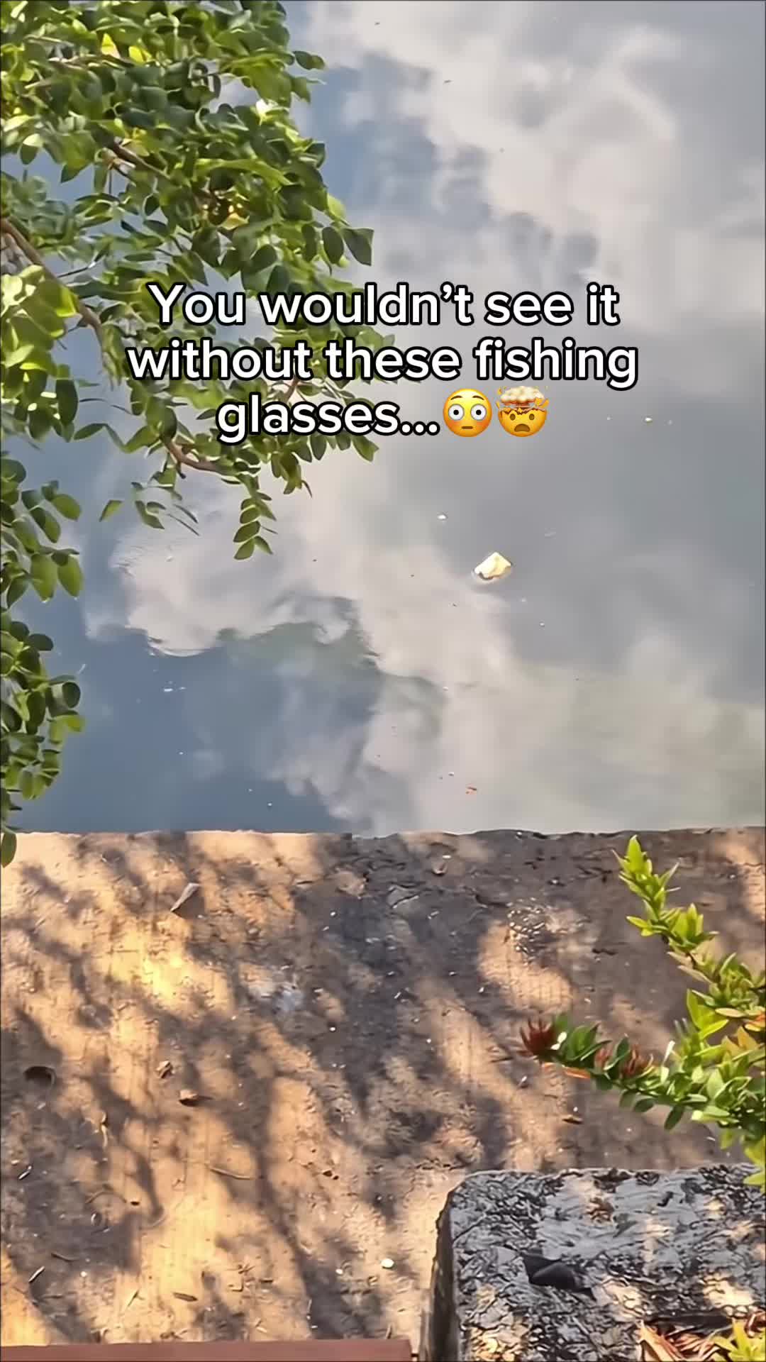 @AquaVision | Fishing | Eyewear