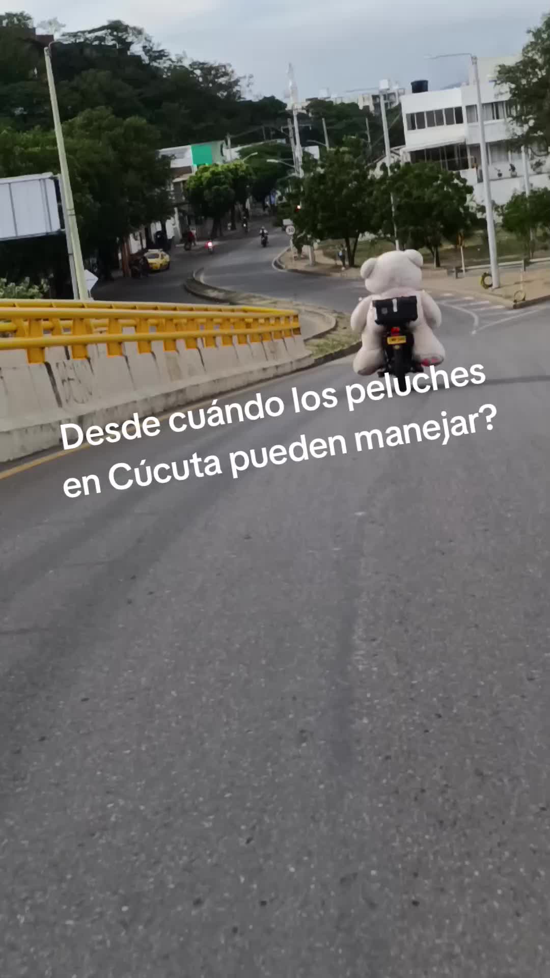 @Eduardo Castro