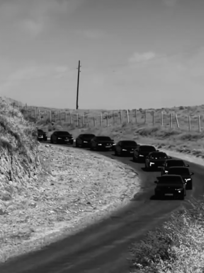 @MafiaCars