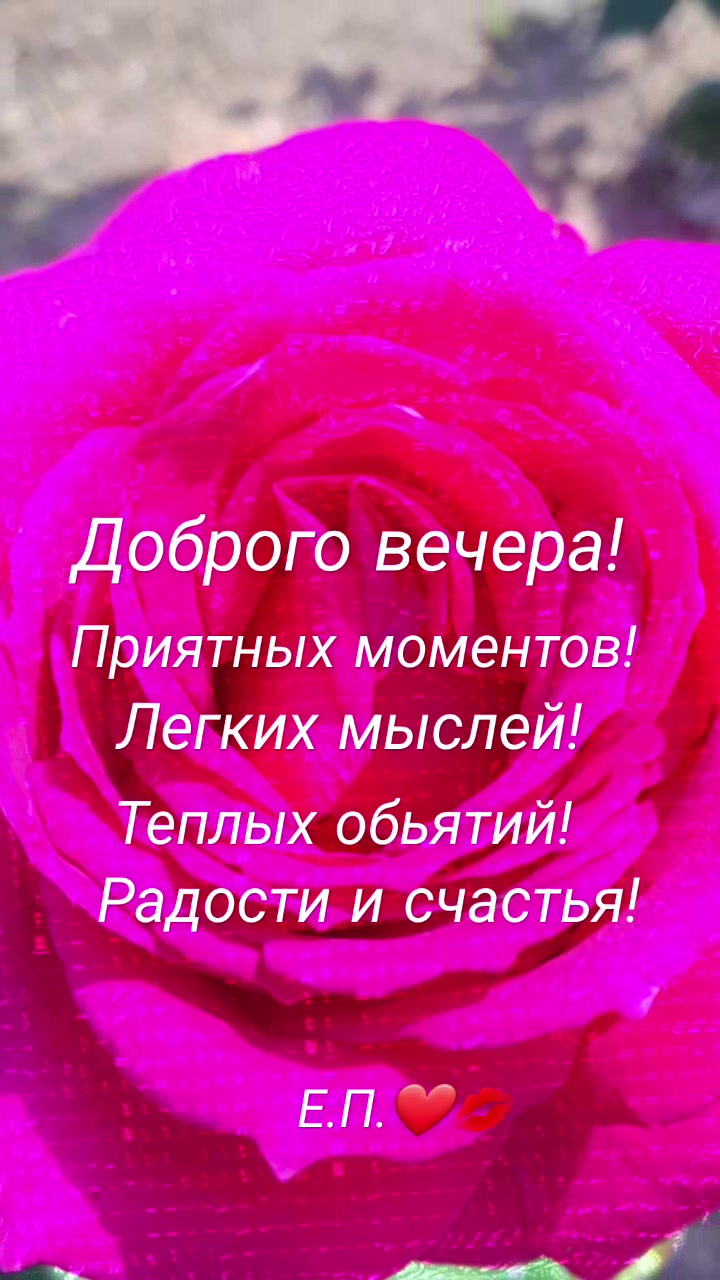 @Елена Паша
