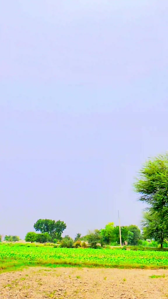 @bhai jaan