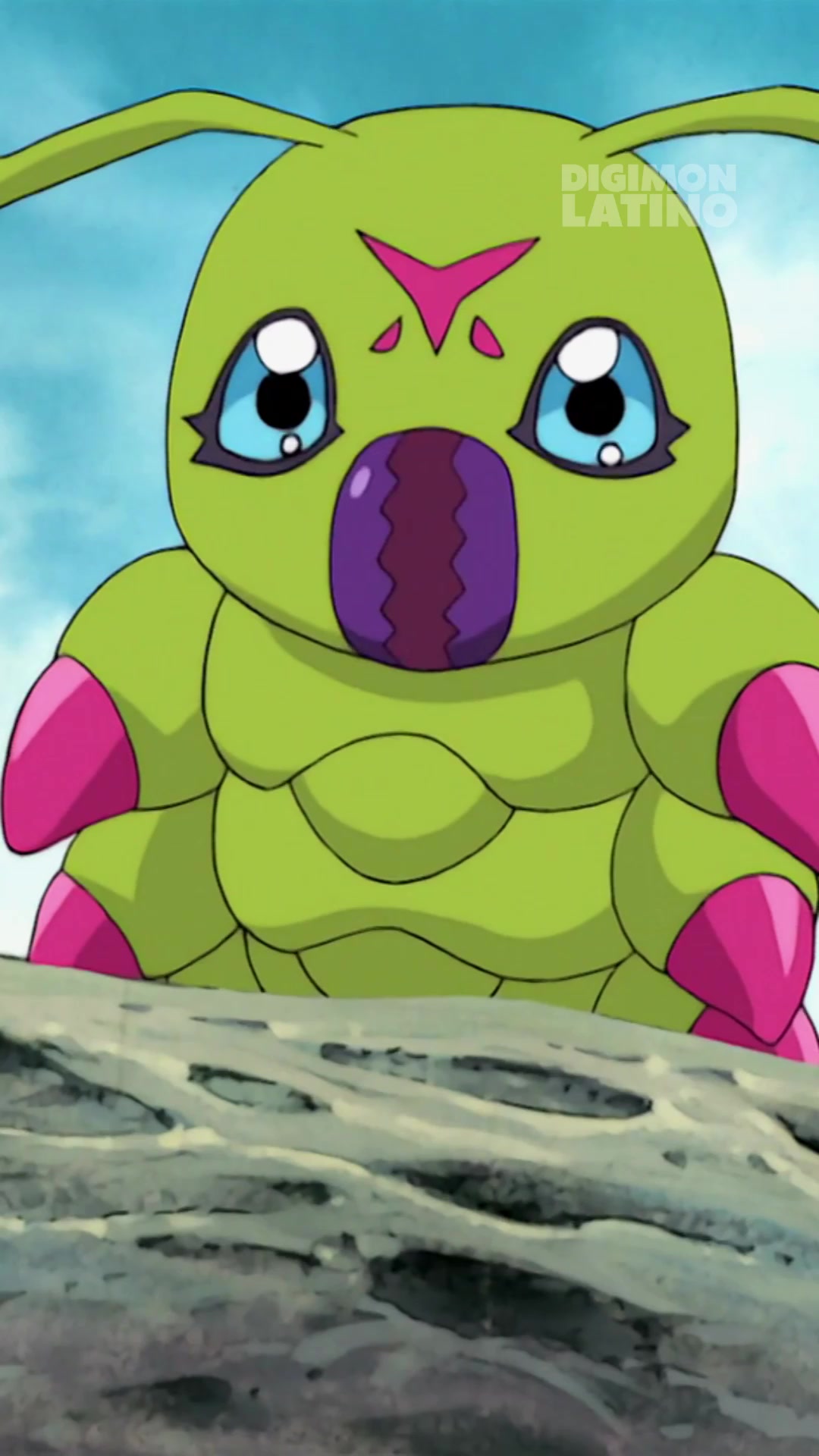 @Digimon Latino