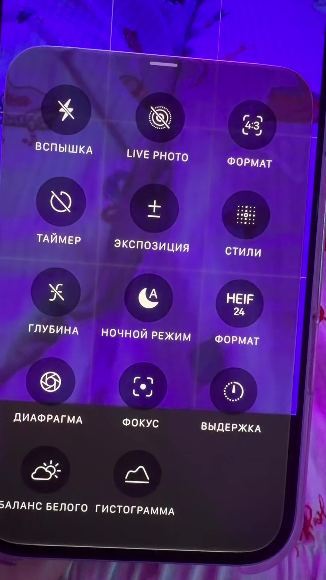 @Miss1olesya