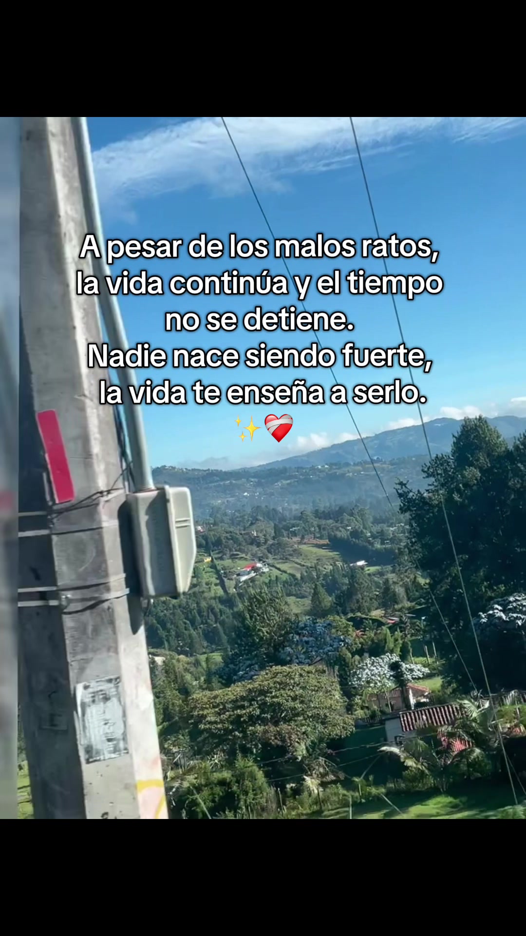 @A.O. N