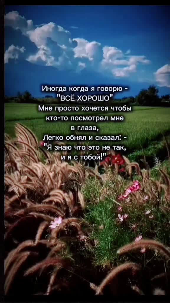 @Цитаты, статусы)