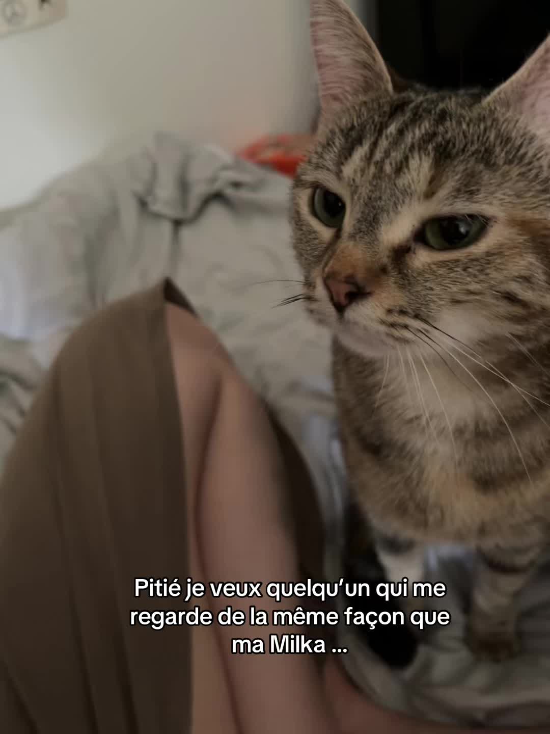 @W^Boubou.L.dsml^W