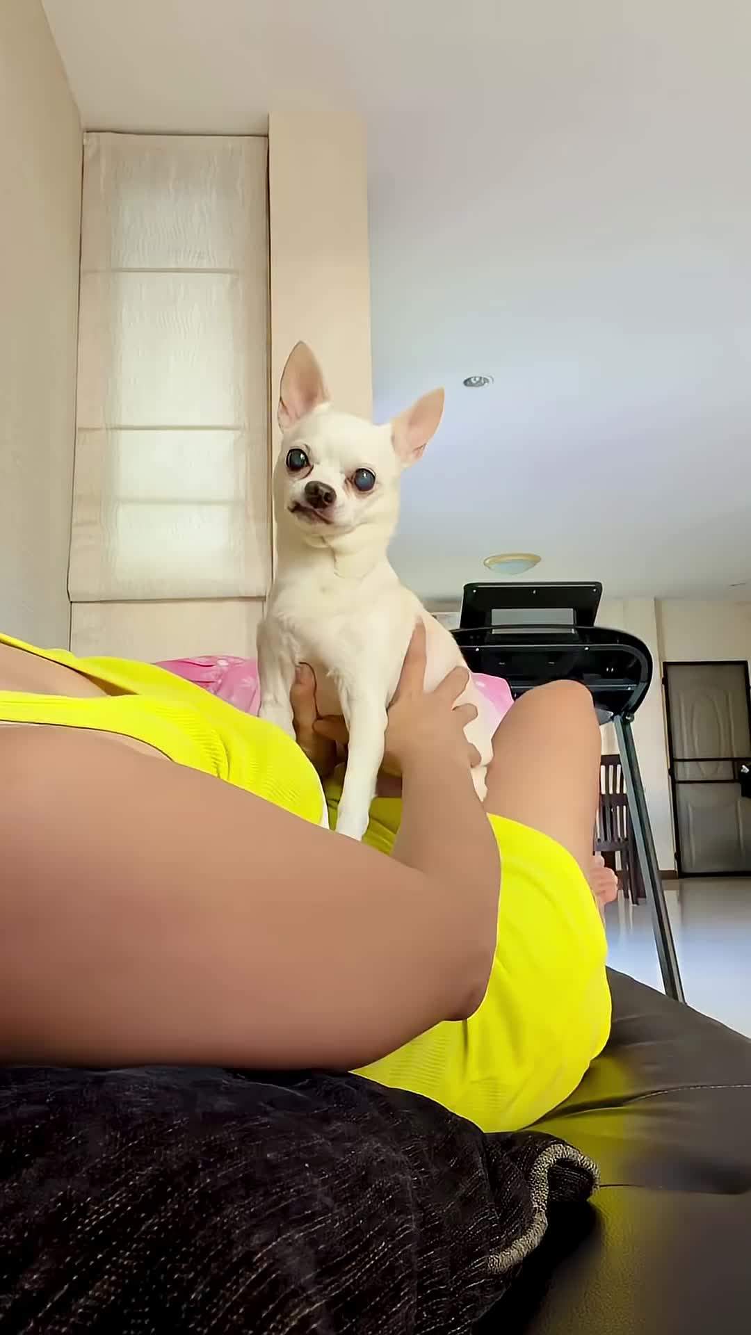 @dog lovers