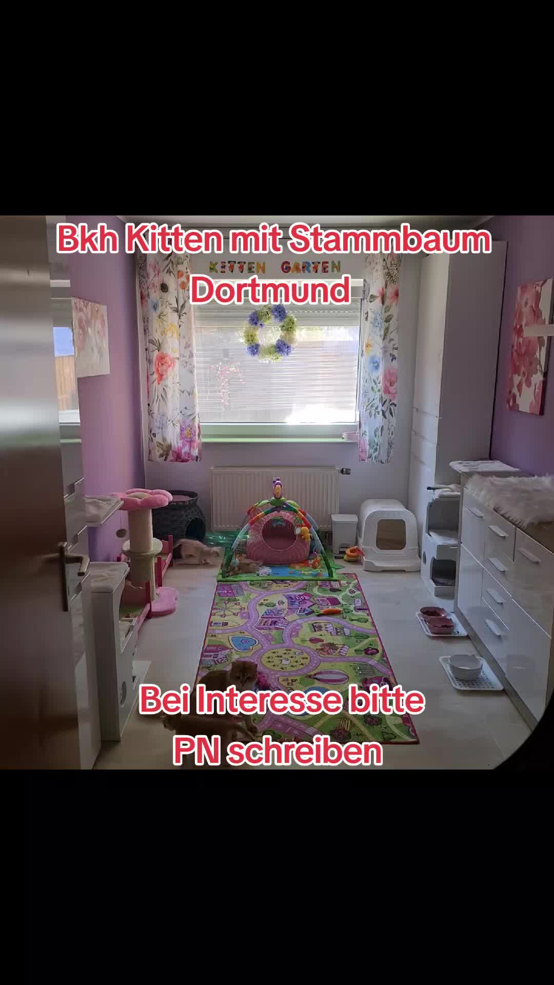 @LanaCats