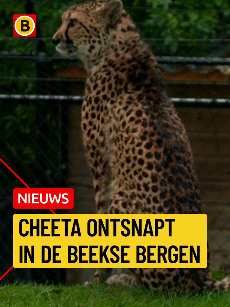 @Omroep Brabant