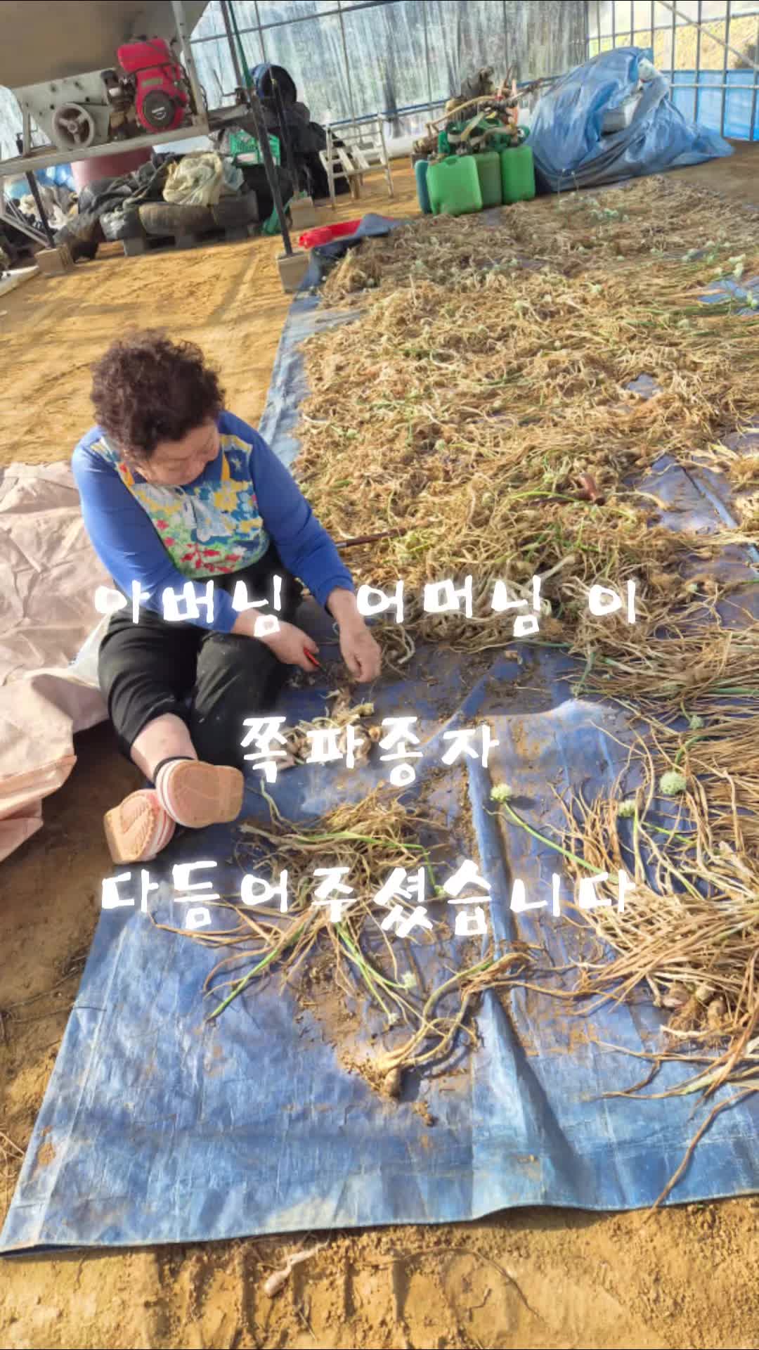 @๐ฐ๐ท๐์ก์ฐํฌ๋์ธ๋๐๐ฐ๐ท