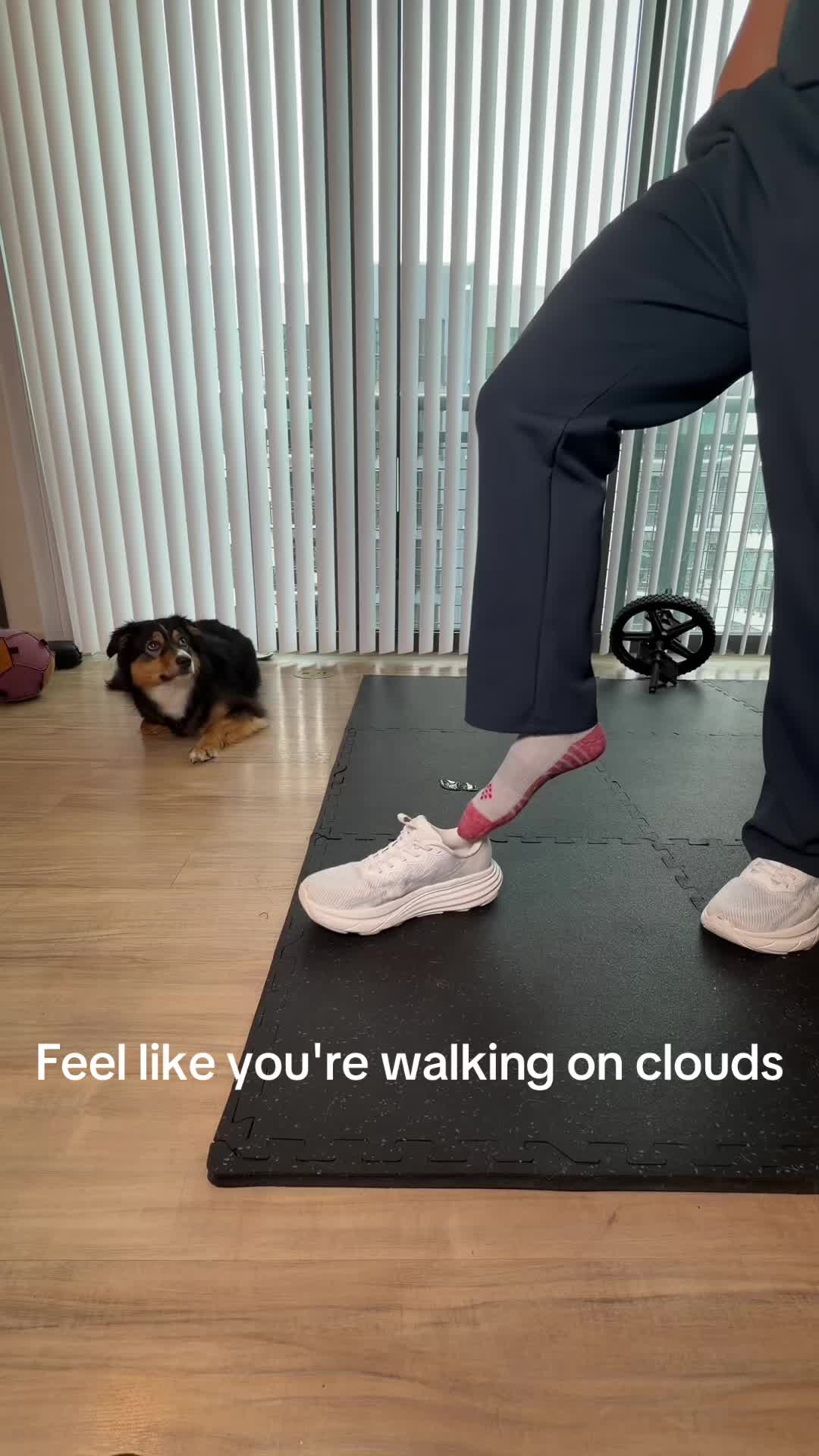 @lc_dealz