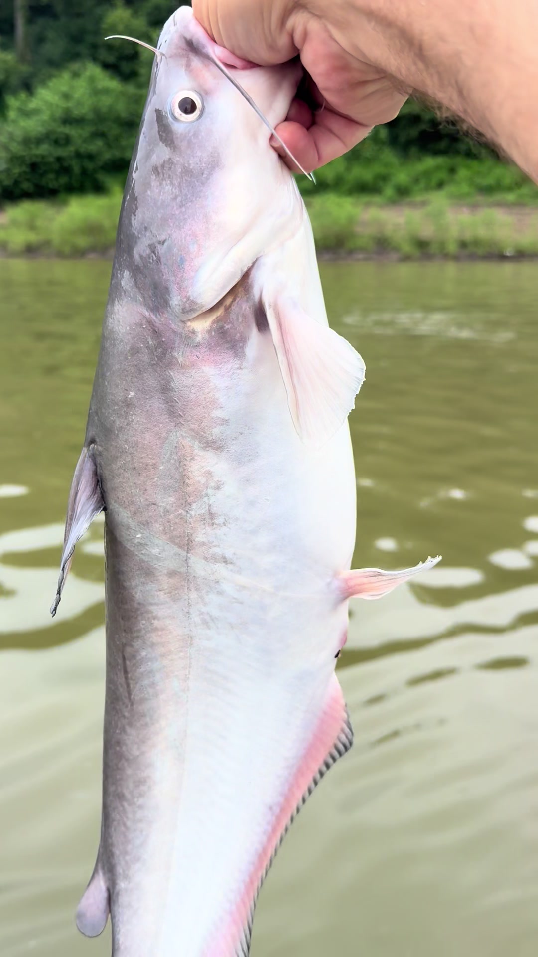 @Kentucky Fishing
