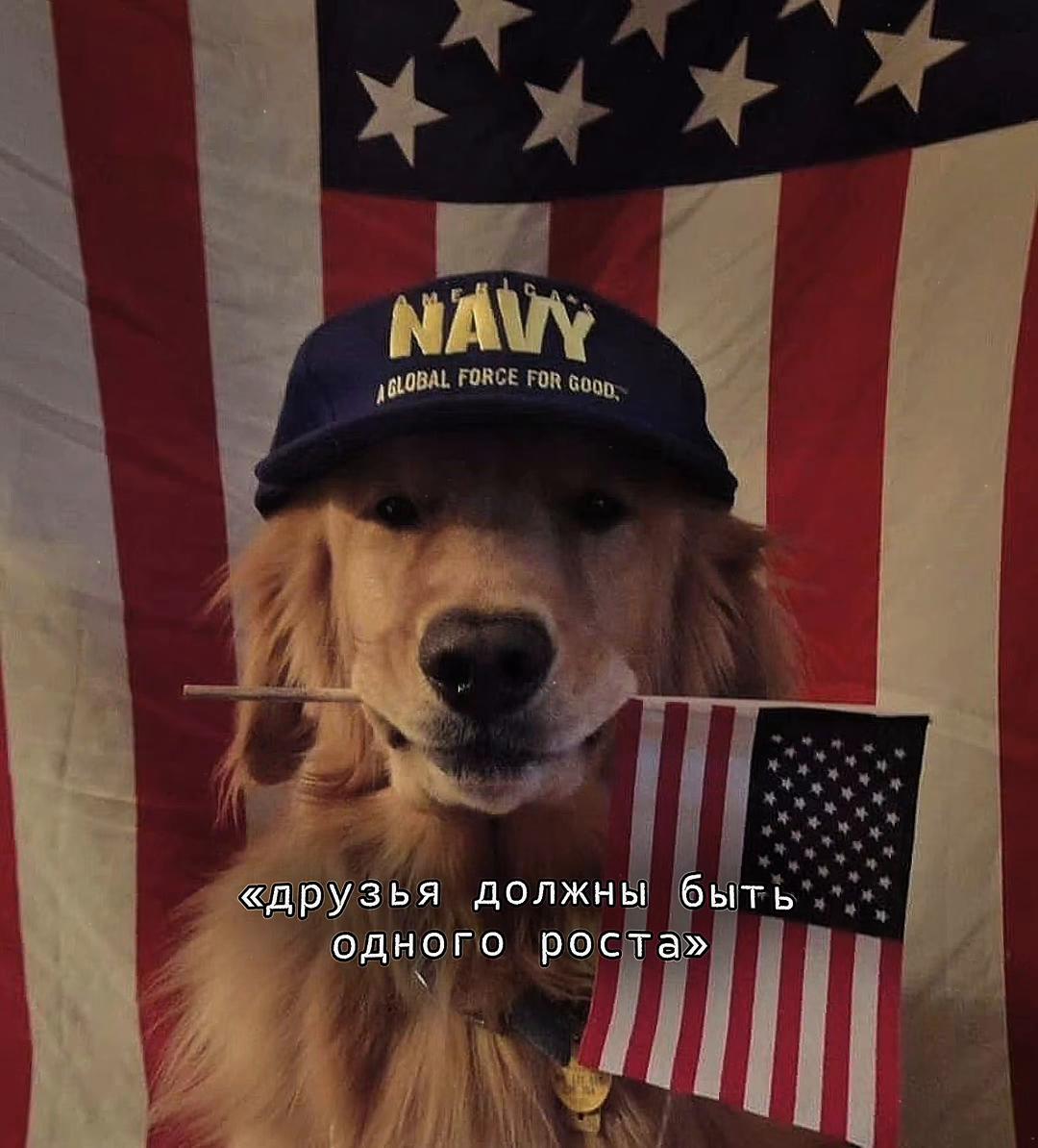 @sɪɴsᴋʏ