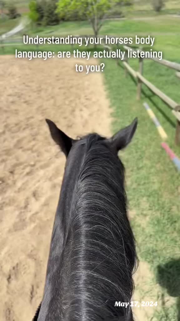 @Rudnik the Roan