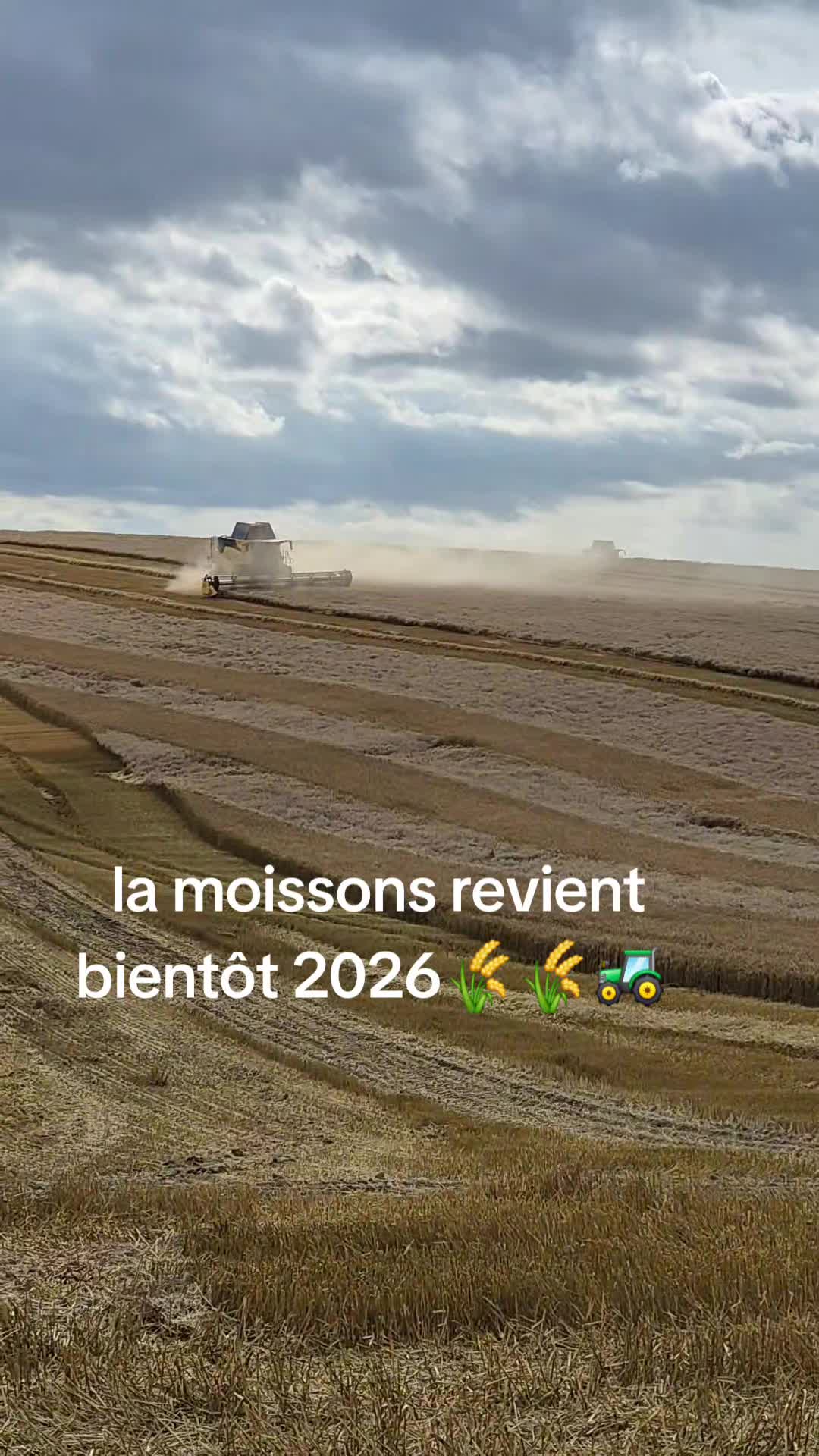 @Julien