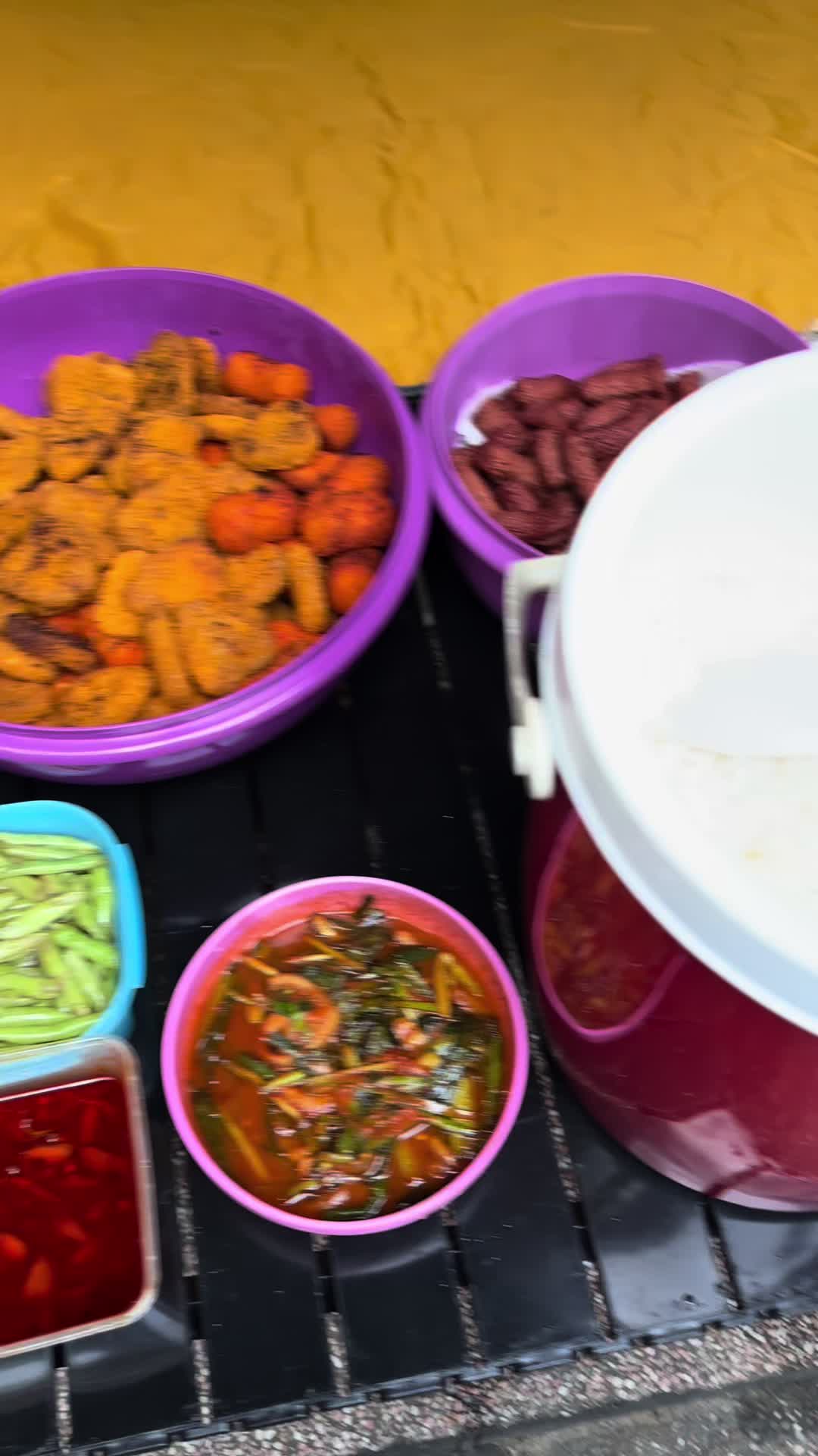 @ŵ&Atilde;&ntilde;Ŷ🪽