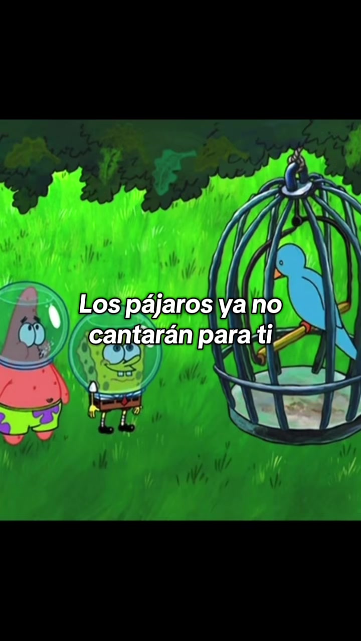 @cotton candy