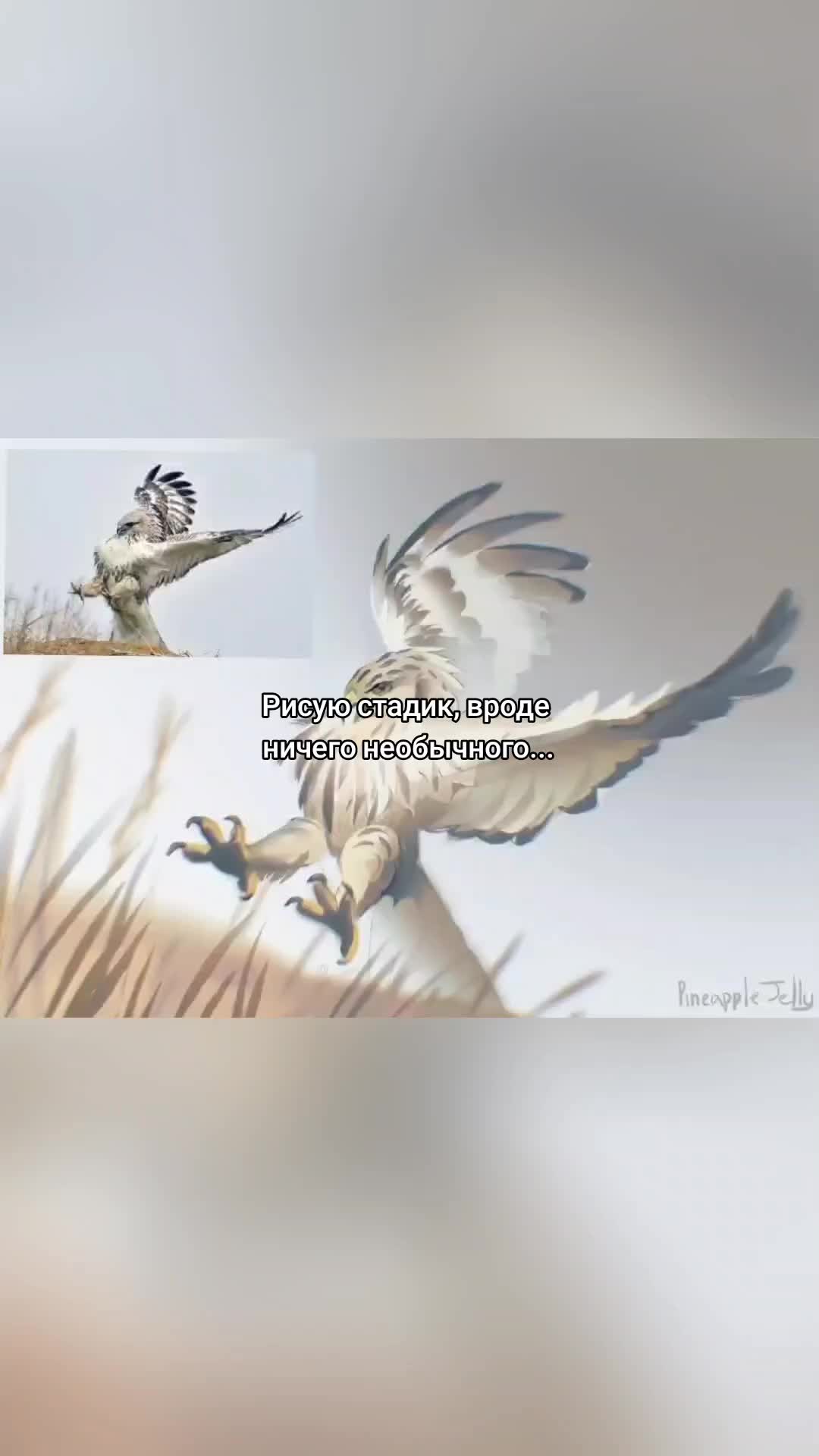 @Желе {comms OPEN}