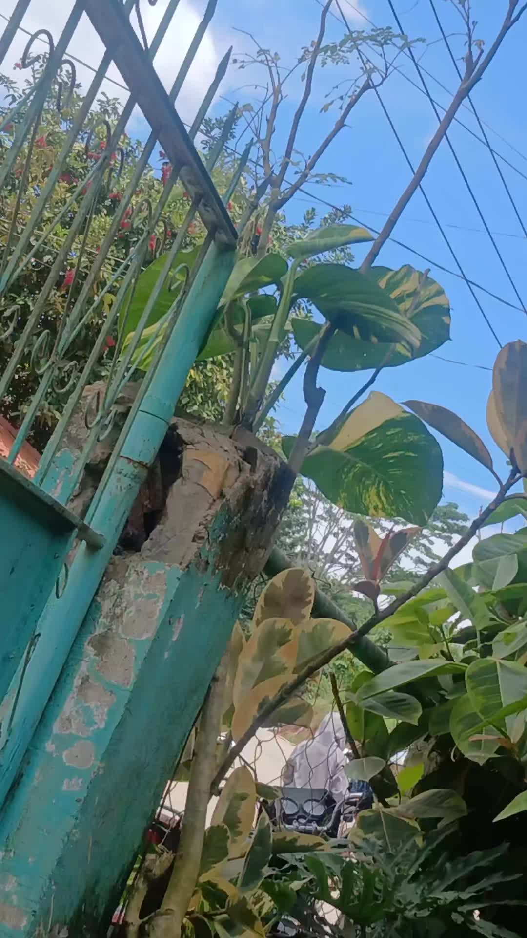 @GABRIEL🇵🇭