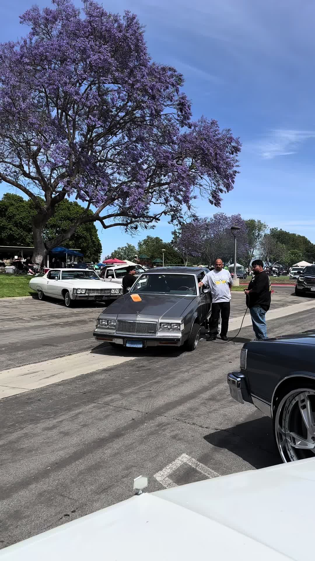 @Dvilycvrlos