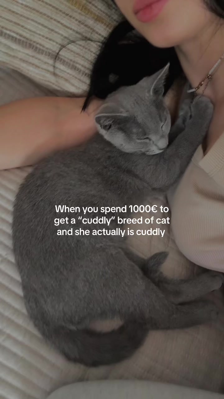 @Assyab