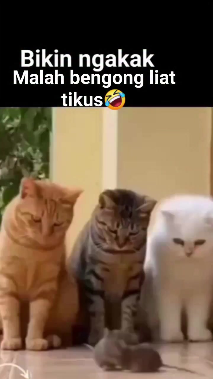 @dwikaputramahardika