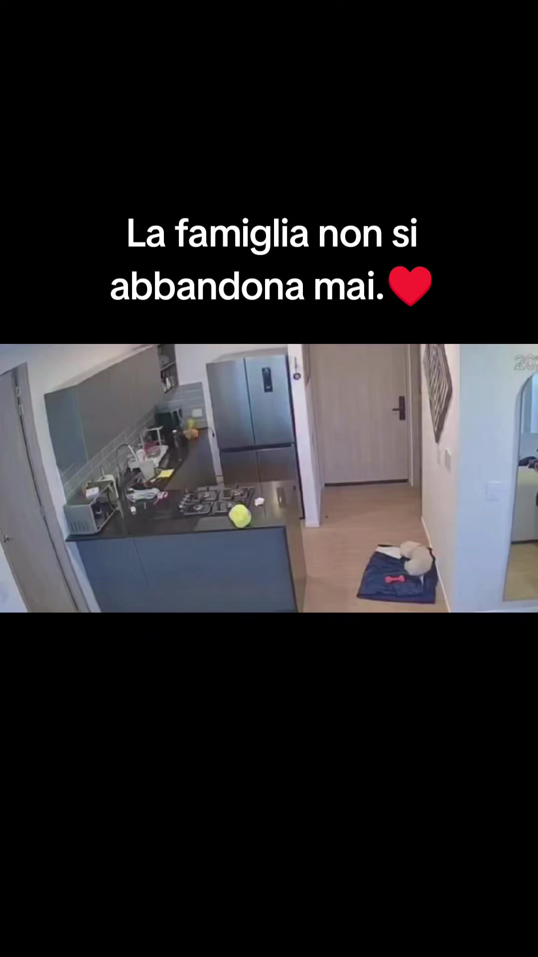 @cuore.animale