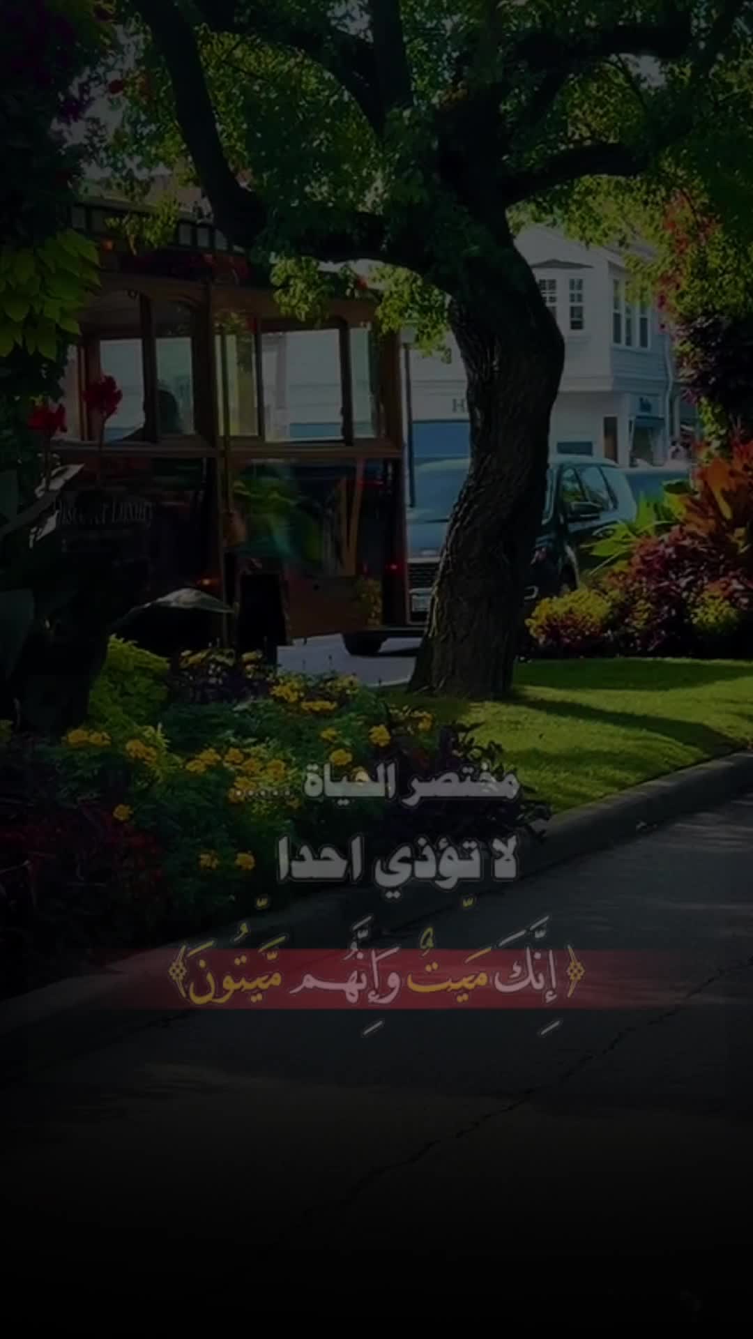 @واثقه بالله