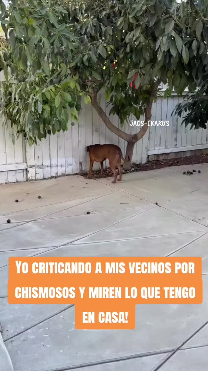 @JAOS-IKARUS