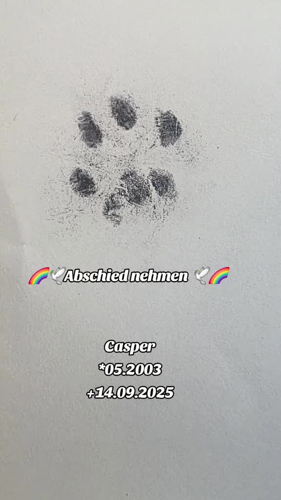 @Staffordshiremix Geschwister🐾