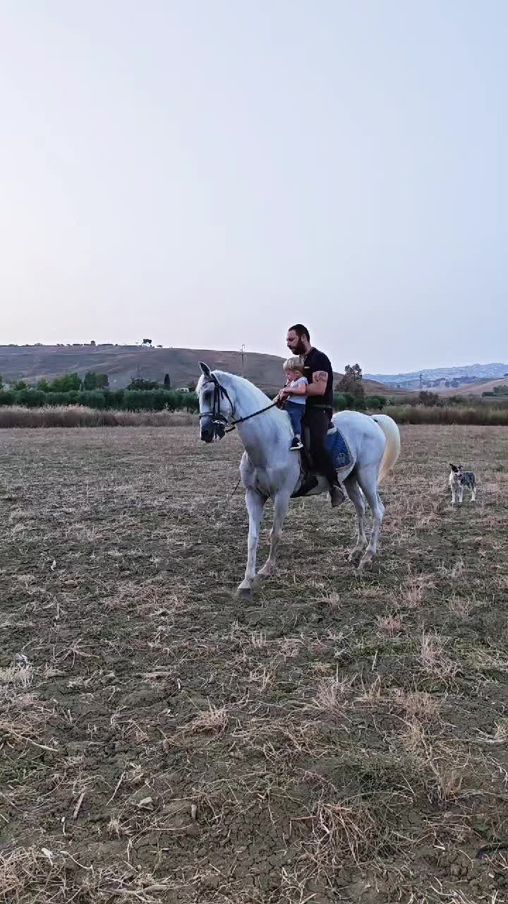 @pietrocanino