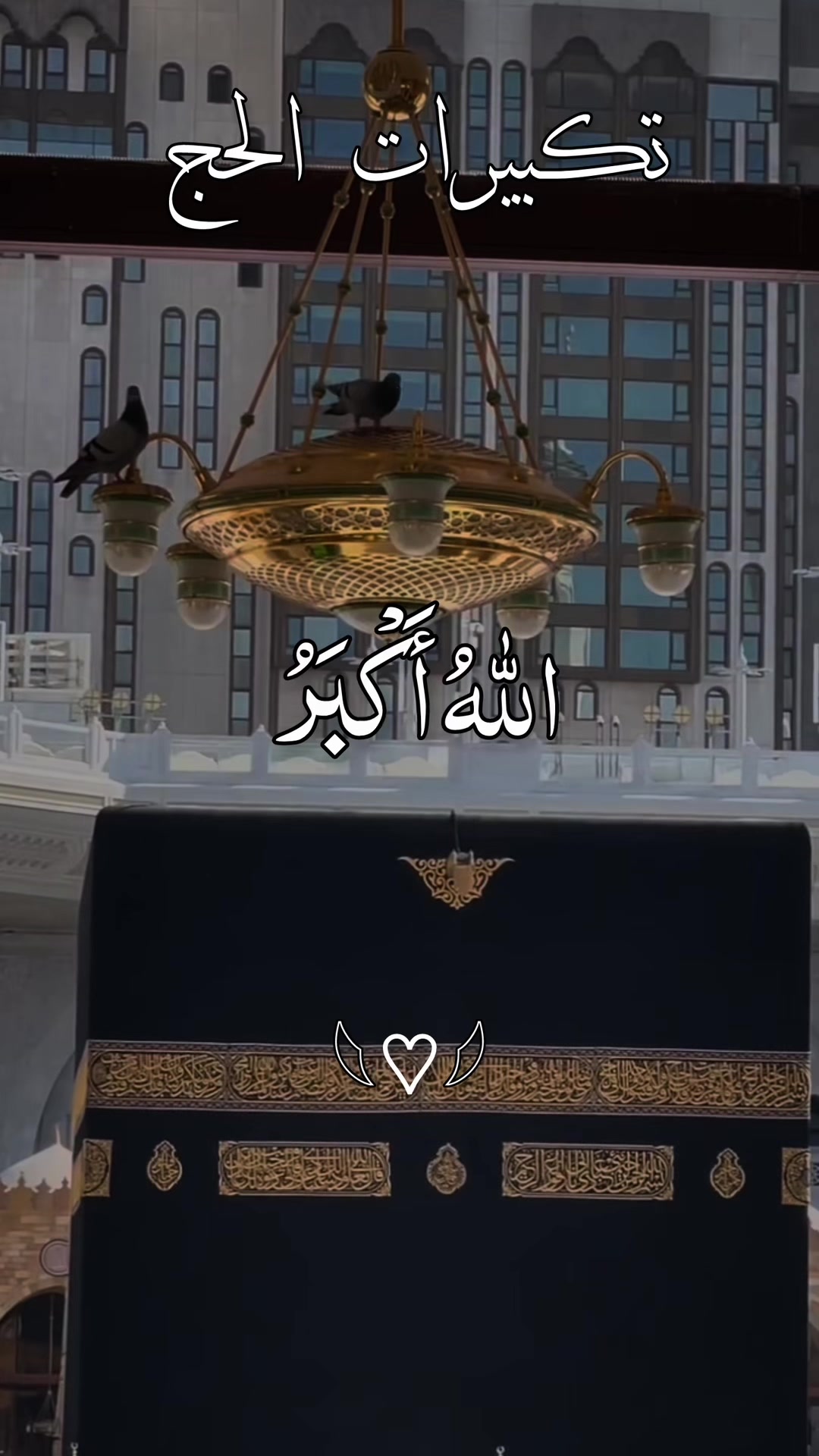 @❣️ Words of Allah ❣️