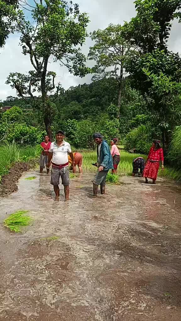 @Hari Adhikari