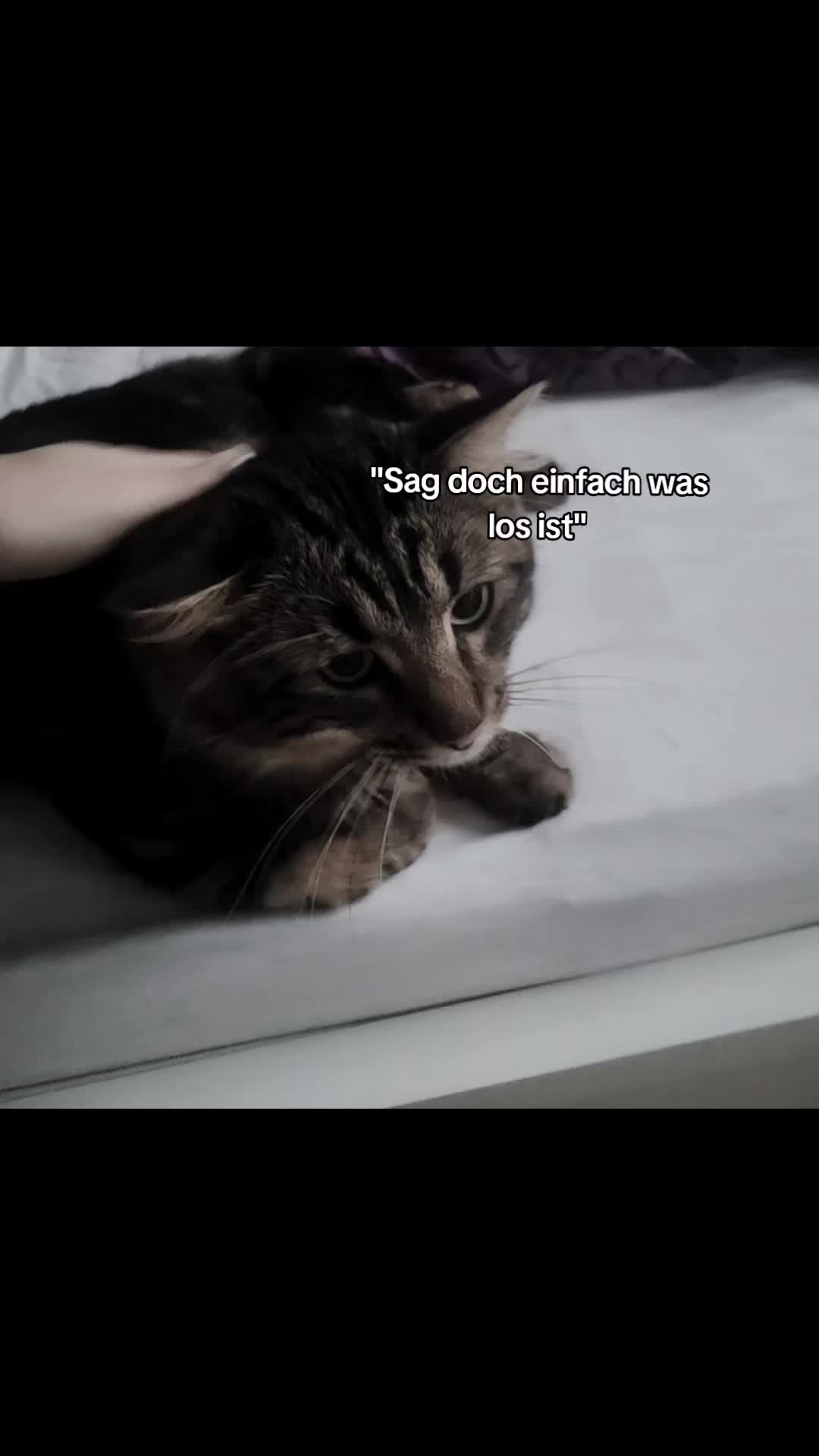 @𝐍𝐚𝐧𝐬𝐤𝐢ꨄ