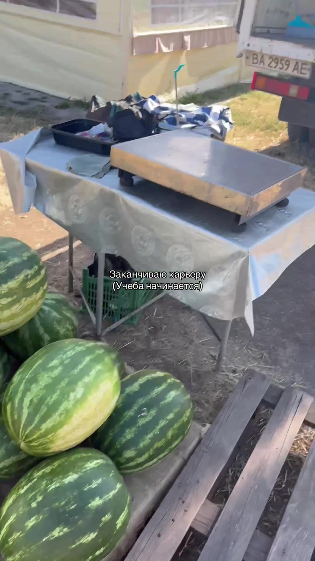 @Кавказец🇦🇿