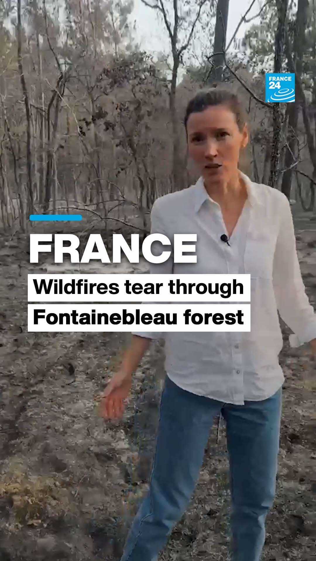 @FRANCE 24 English