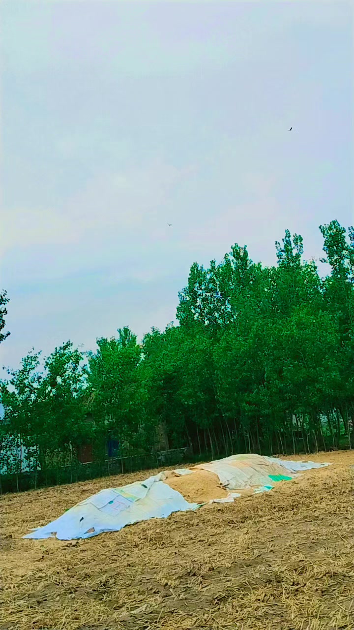 @👑 KPK KING 👑