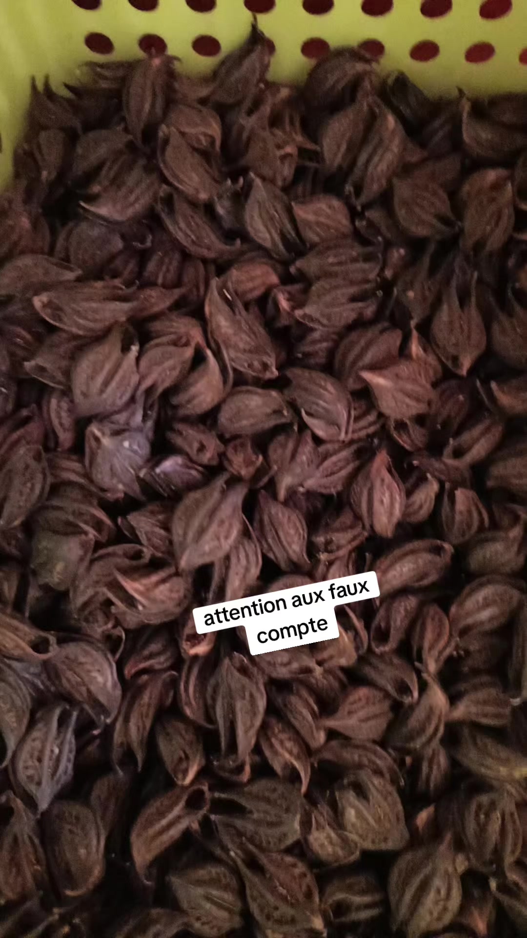 @Ancêtres,Nature♀️+237691471208