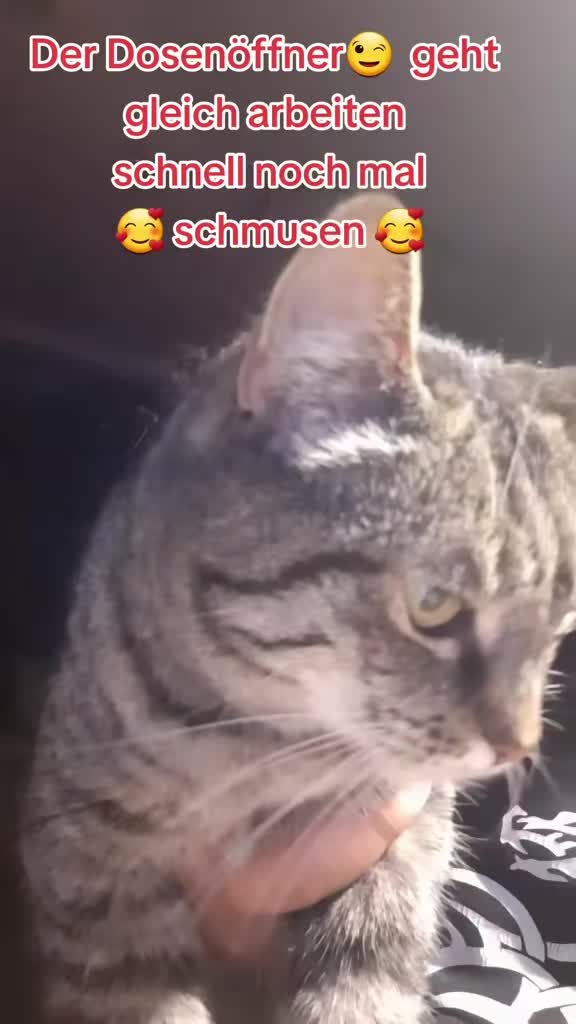@Susi & der Dosenöffner 🤔🤣