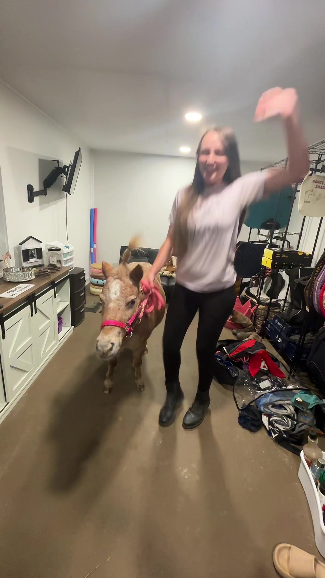 @itiswellstables