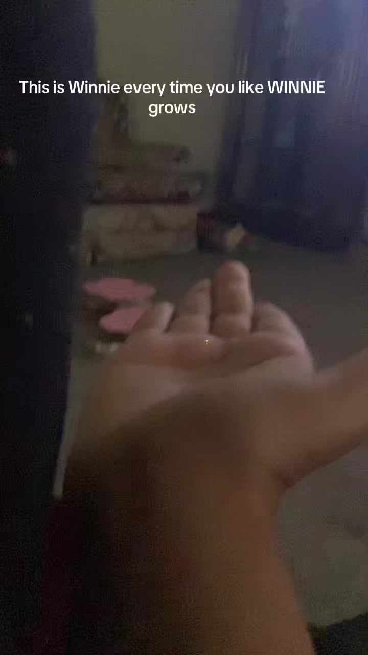 @sasrika