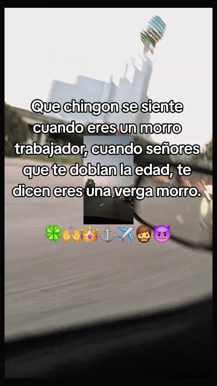 @💯💫🐅el tigre 🥷