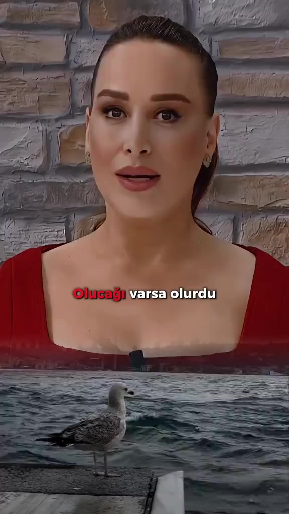 @sonbigulsene