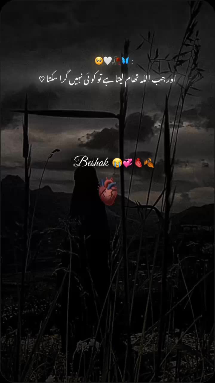 @𝘼𝙉𝘼𝙔𝘼 🥀🖤