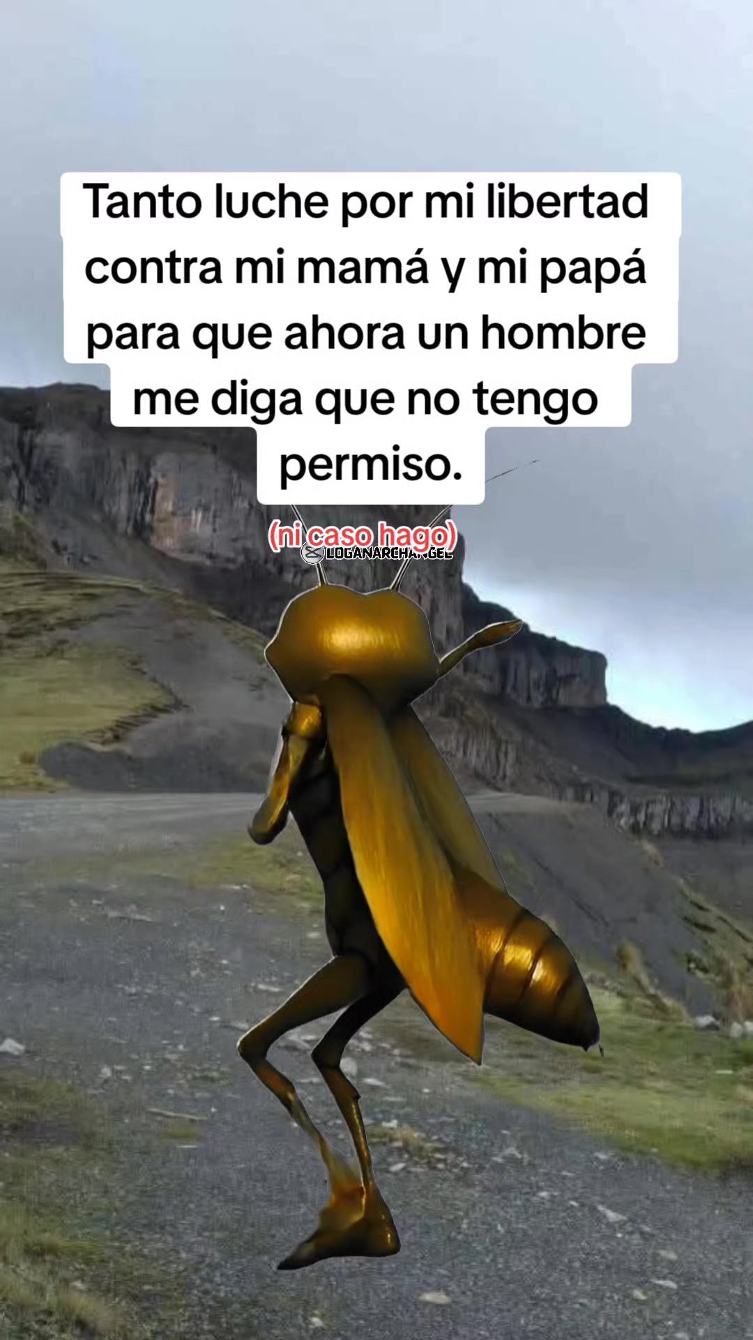 @Fanny Quispe❤️