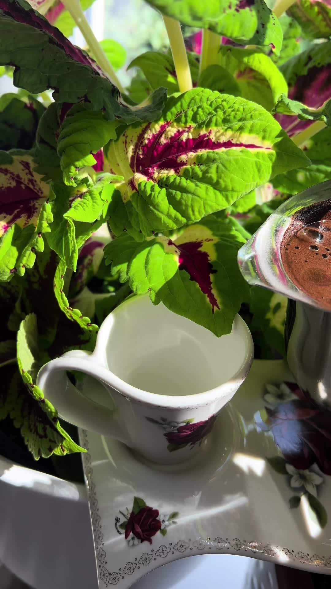@☕️Emilia