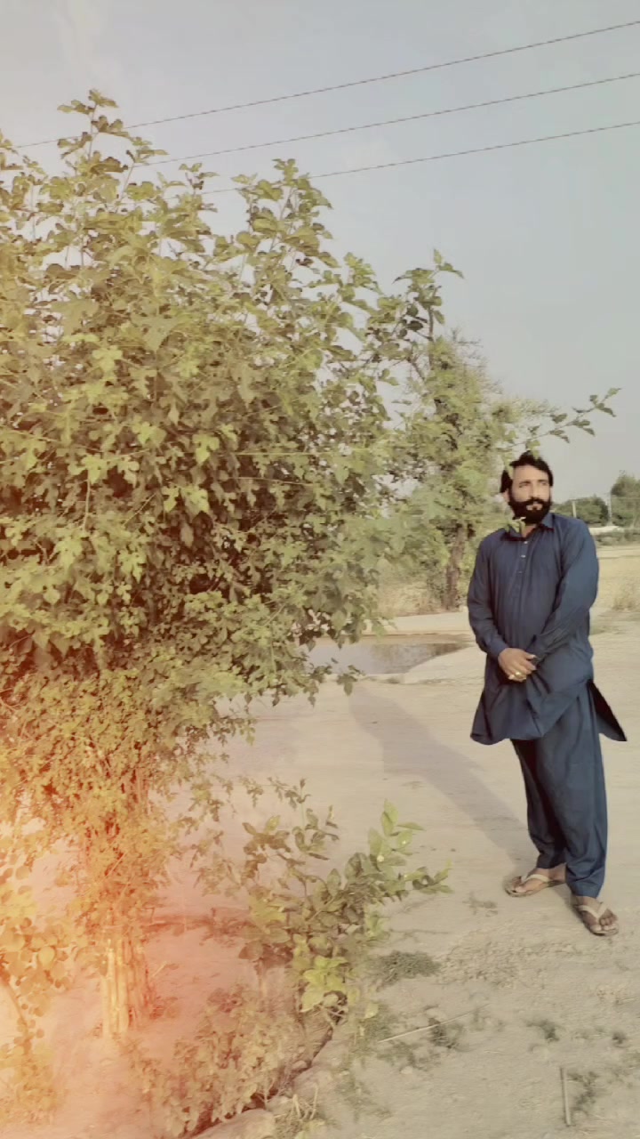 @Imranbani786_2