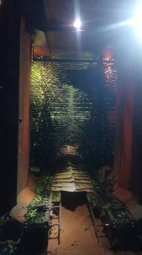 @Rogério Domingues